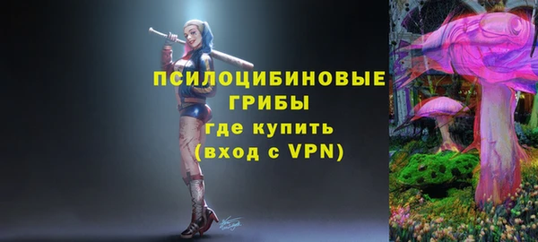 СК Алзамай